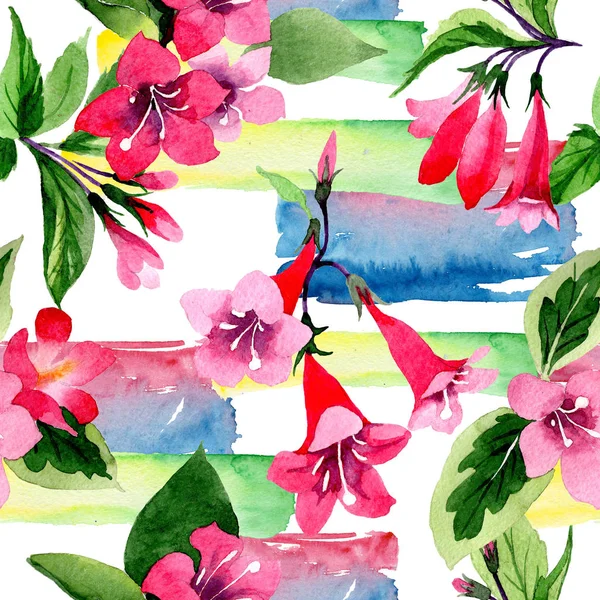 Wildblumen-Weigela-Blumenmuster im Aquarell-Stil. — Stockfoto