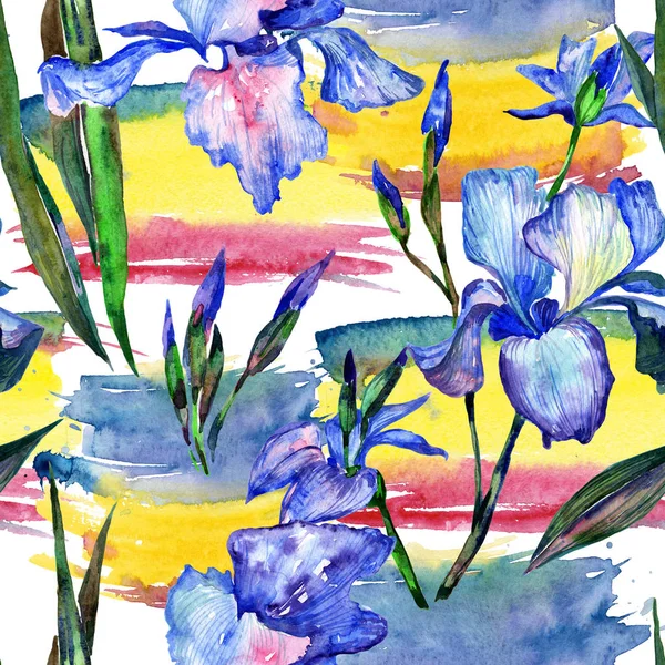 Wildflower iris bloemenpatroon in een aquarel stijl. — Stockfoto
