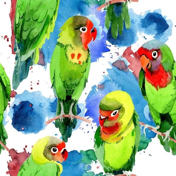Sky fåglar små papegojor mönster i ett djurliv av akvarell stil. — Stockfoto