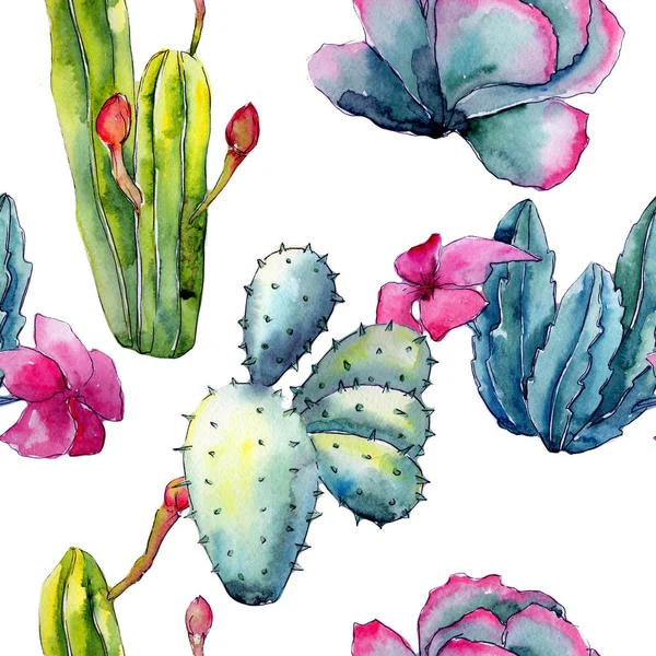 Exotische Wildblumen-Kakteenmuster im Aquarell-Stil. — Stockfoto