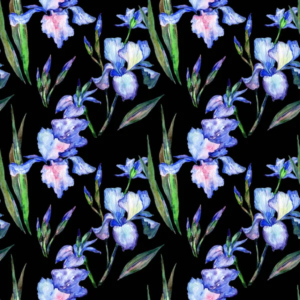 Wildblumen-Iris-Blumenmuster im Aquarell-Stil. — Stockfoto