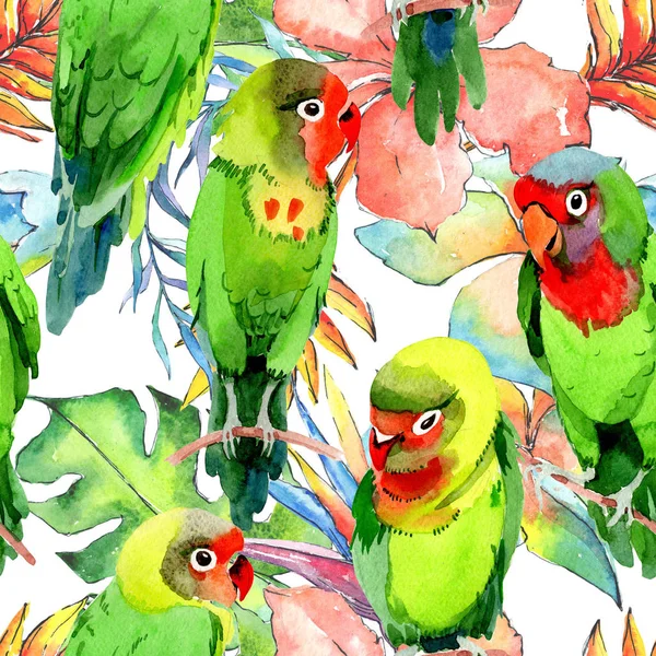 Sky birds small parrots pattern in a wildlife by watercolor style. — Stock Photo, Image