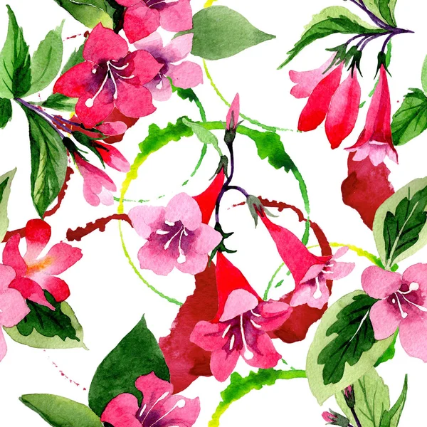 Modèle de fleur weigela fleur sauvage dans un style aquarelle . — Photo