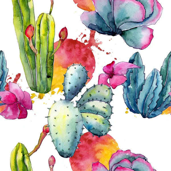 Modèle exotique de cactus de fleurs sauvages dans un style aquarelle . — Photo