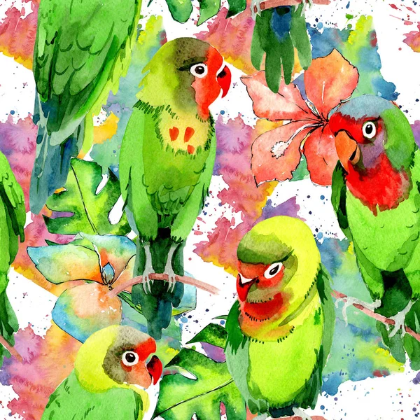 Sky birds small parrots pattern in a wildlife by watercolor style. — Stock Photo, Image