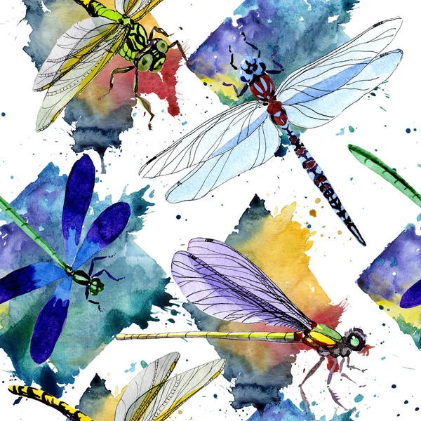 Exotische dragonfly wild insect patroon in een aquarel stijl. — Stockfoto