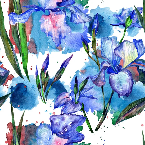 Modèle de fleur d'iris de fleur sauvage dans un style aquarelle . — Photo