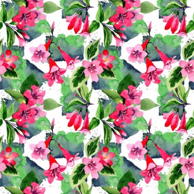 Kır çiçeği weigela çiçek deseni suluboya tarzında.