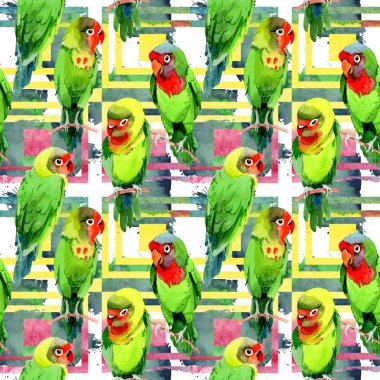 Gökyüzü kuşlar küçük papağan desende bir yaban hayatı suluboya stili tarafından.