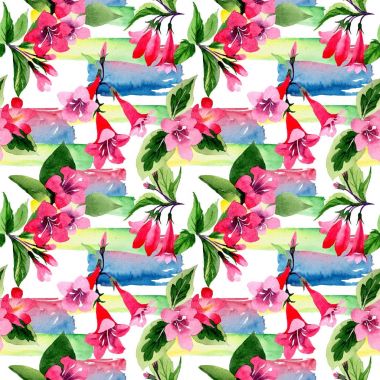 Kır çiçeği weigela çiçek deseni suluboya tarzında.