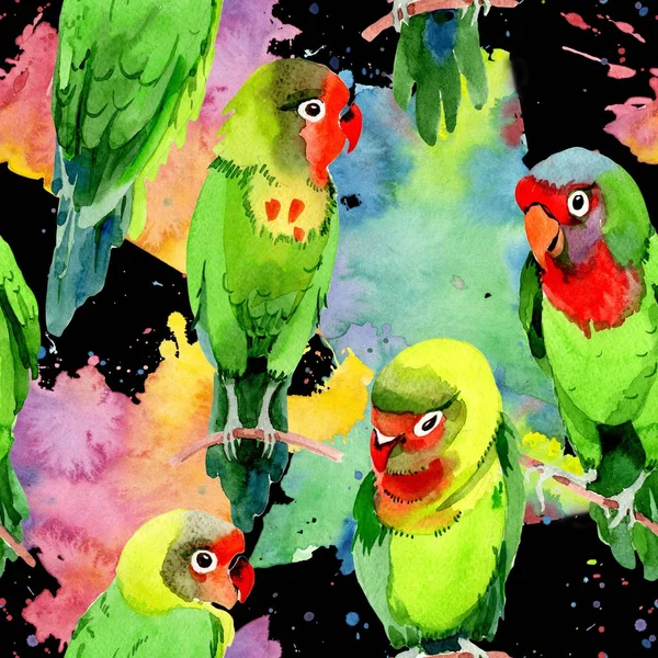 Gökyüzü kuşlar küçük papağan desende bir yaban hayatı suluboya stili tarafından. — Stok fotoğraf