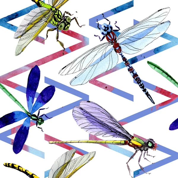 Exotische Libelle mit wildem Insektenmuster im Aquarell-Stil. — Stockfoto