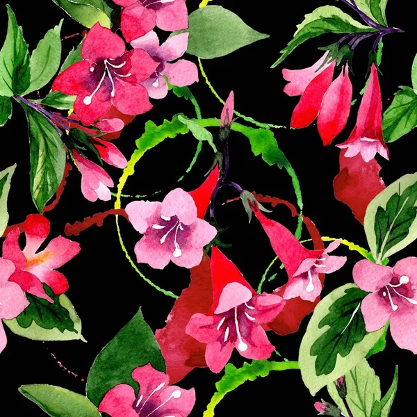 Padrão de flor de weigela Wildflower em um estilo aquarela . — Fotografia de Stock