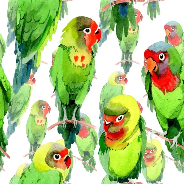 Wzór małych papug ptaków niebo w dzikich przez stylu przypominającym akwarele. — Zdjęcie stockowe