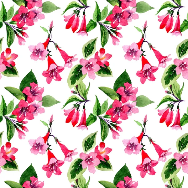 Wildblumen-Weigela-Blumenmuster im Aquarell-Stil. — Stockfoto