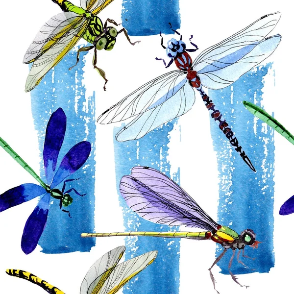 Exotic dragonfly wild insect pattern in a watercolor style. — Stock Photo, Image