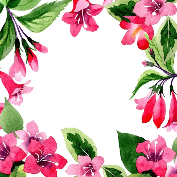 Wildblume Weigela Blume Rahmen in einem Aquarell-Stil. — Stockfoto