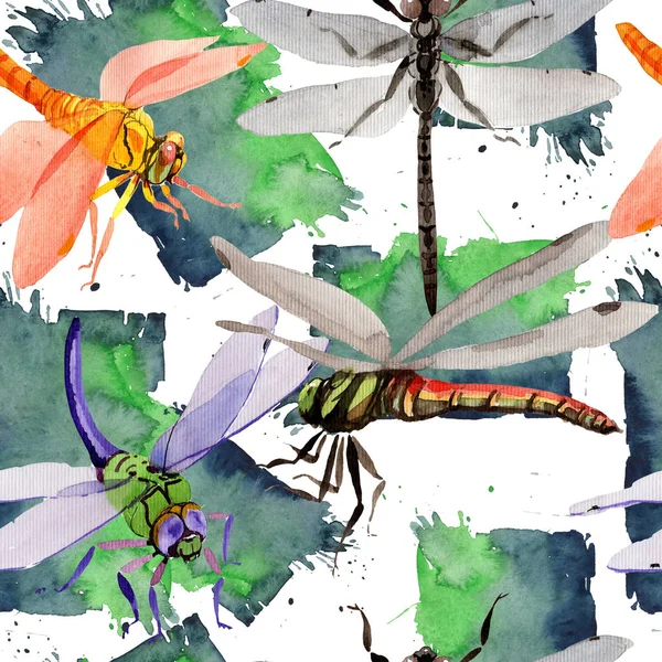 Exotic dragonfly wild insect pattern in a watercolor style. — Stock Photo, Image