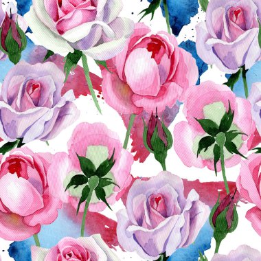 Kır çiçeği ihale pembe Gül çiçek deseni suluboya tarzında.