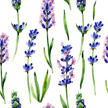 Kır çiçeği lavanta çiçek deseni suluboya tarzında.