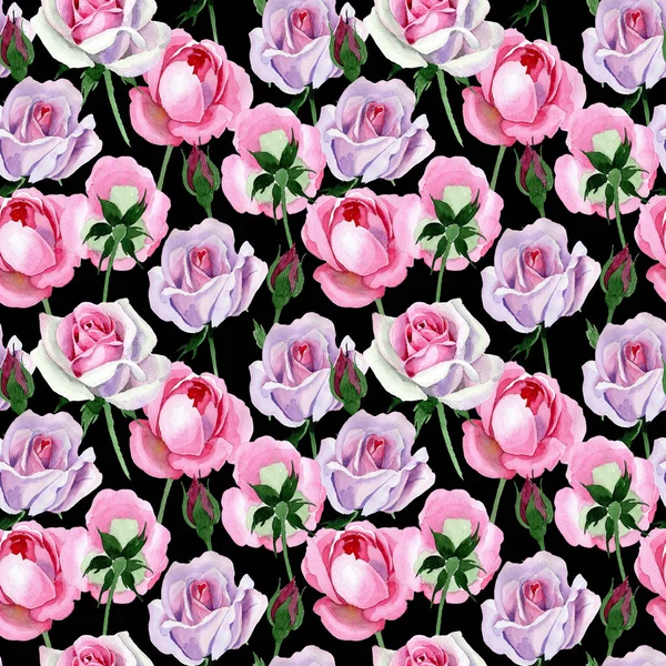 Wildflower tender pink rose flower pattern in a watercolor style. — Stock Photo, Image