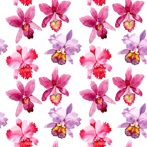 수채화 스타일에서 플라워 핑크 난초 꽃 패턴. — 스톡 사진