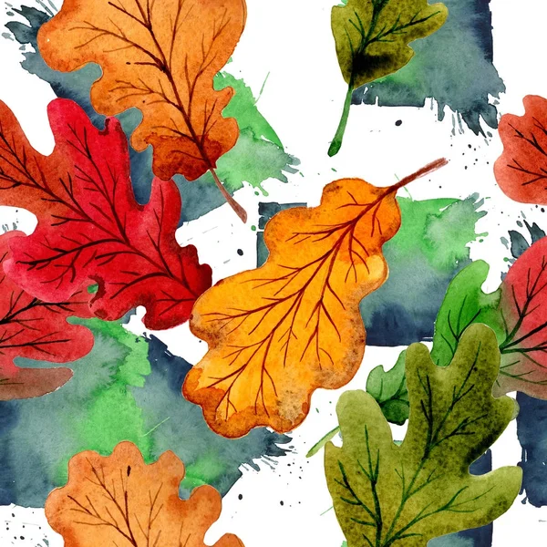 Hoja de otoño de patrón de roble en un estilo de acuarela dibujado a mano . — Foto de Stock