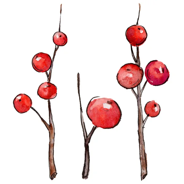 숲 나뭇가지 그려진된 수채화 스타일 절연 손에 붉은 열매. — 스톡 사진