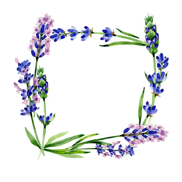 Armação de flor de lavanda de flores silvestres em um estilo aquarela . — Fotografia de Stock