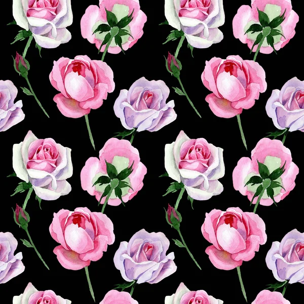 Wildflower concurso rosa rosa flor padrão em um estilo aquarela . — Fotografia de Stock
