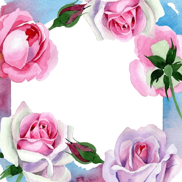 Ανθέων διαγωνισμό κορνίζα ροζ τριαντάφυλλο λουλούδι σε στυλ υδροχρώματος. — Φωτογραφία Αρχείου
