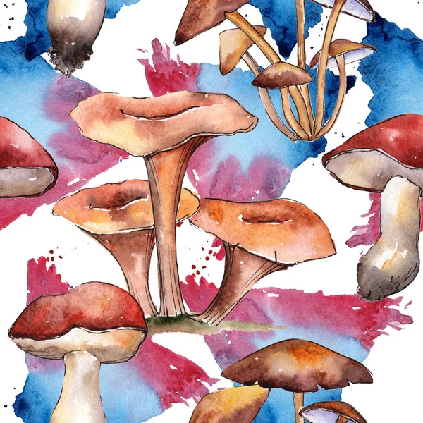 Cogumelos padrão de comida saudável em um estilo aquarela . — Fotografia de Stock