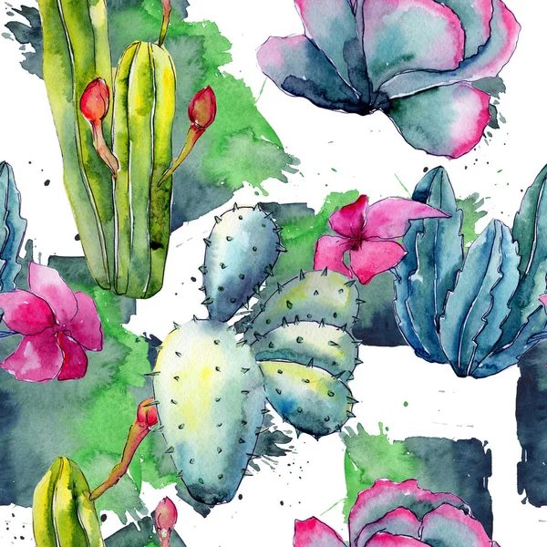 Modèle exotique de cactus de fleurs sauvages dans un style aquarelle . — Photo
