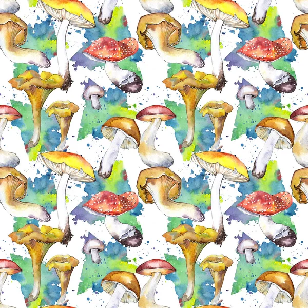 Mushrooms healthy food pattern in a watercolor style. — Stock Photo, Image