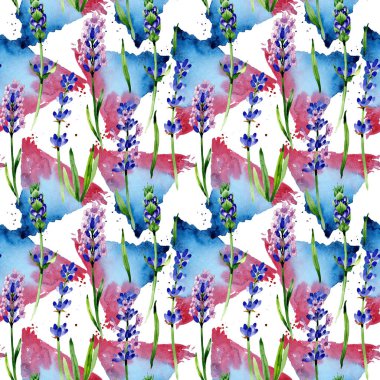 Kır çiçeği lavanta çiçek deseni suluboya tarzında.