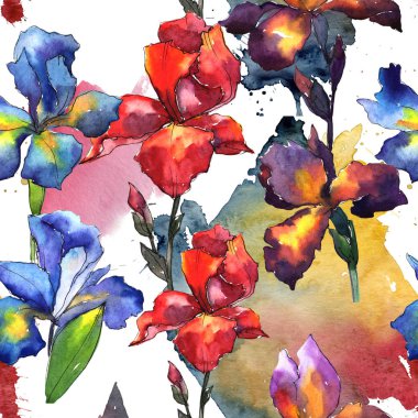 Kır çiçeği Iris çiçek deseni suluboya tarzında.