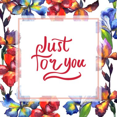 Kır çiçeği Iris çiçek çerçeve suluboya tarzında.