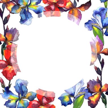 Kır çiçeği Iris çiçek çerçeve suluboya tarzında.