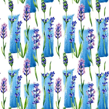 Kır çiçeği lavanta çiçek deseni suluboya tarzında.