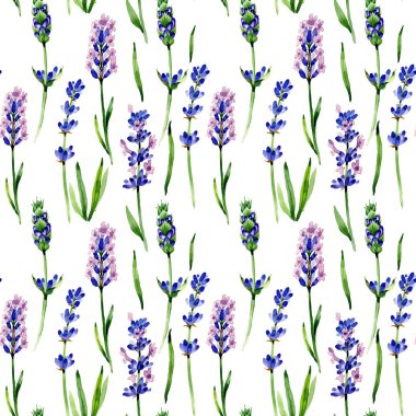 Kır çiçeği lavanta çiçek deseni suluboya tarzında.