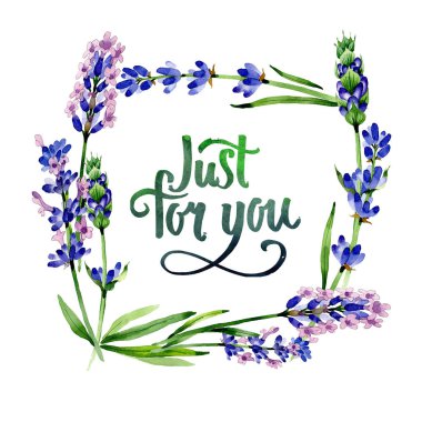 Kır çiçeği lavanta çiçek çerçeve suluboya tarzında.