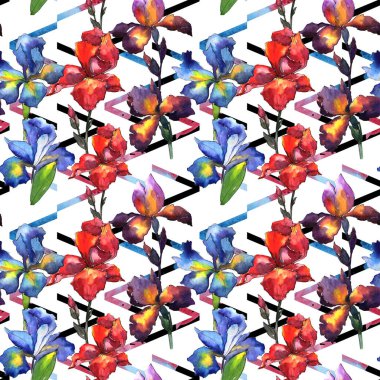 Kır çiçeği Iris çiçek deseni suluboya tarzında.