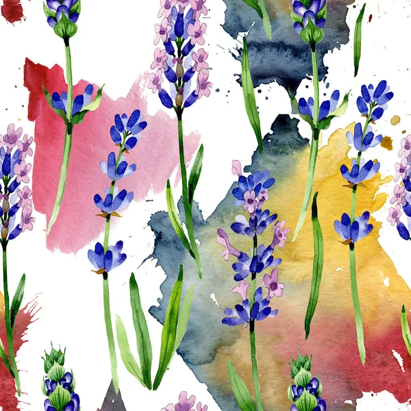 Wildflower lavender flower pattern in a watercolor style. — Stock Photo, Image