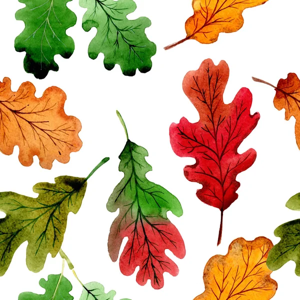 Folha de outono de padrão de carvalho em um estilo aquarela desenhada à mão . — Fotografia de Stock