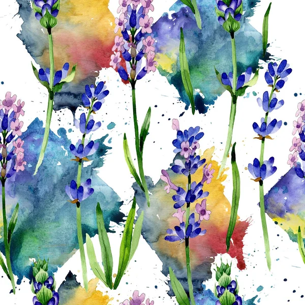 水彩画のワイルドフラワー ラベンダーの花のパターン. — ストック写真