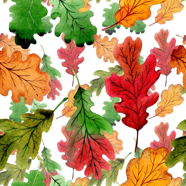 Foglia di autunno di modello di quercia in stile acquerello disegnato a mano . — Foto Stock