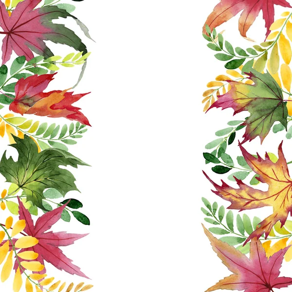 Herfstblad van acacia frame in een hand getrokken aquarel stijl. — Stockfoto