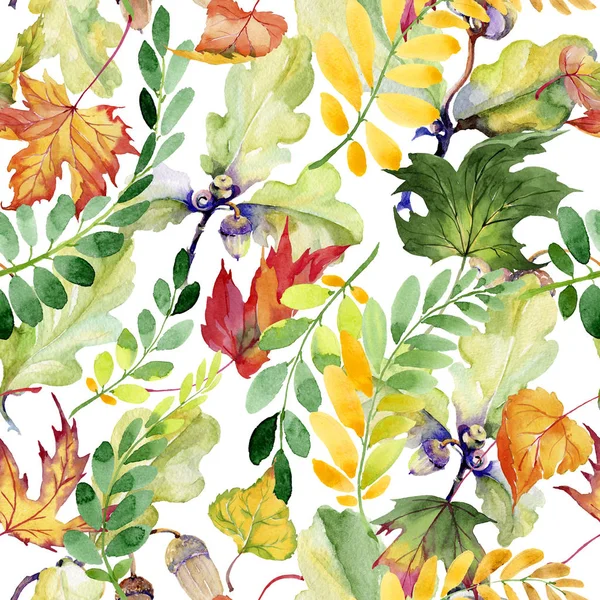 Feuille d'automne de motif acacia dans un style aquarelle dessiné à la main . — Photo