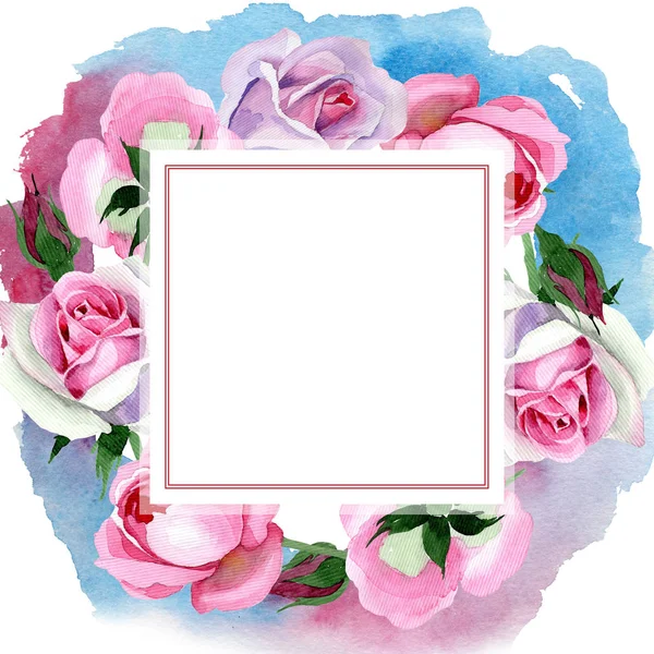 Wildflower anbud rosa ros blomma ram i akvarell stil. — Stockfoto