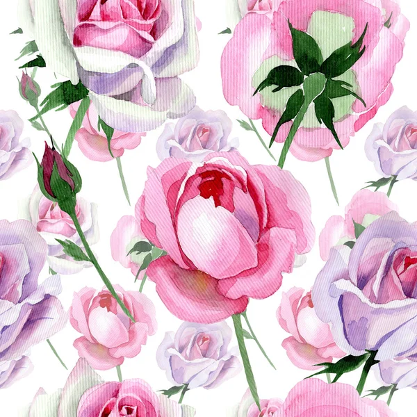 Wildblume zartrosa Rosenblütenmuster im Aquarell-Stil. — Stockfoto